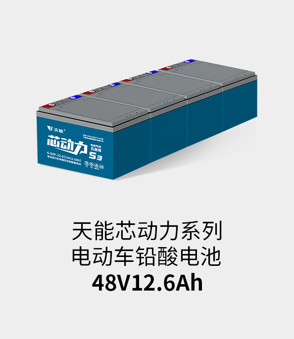 果博电池48v12ah