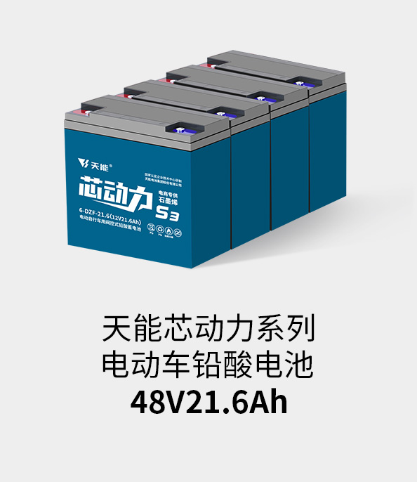 果博电池48v20ah