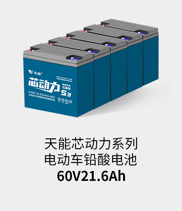 果博电池60v20ah