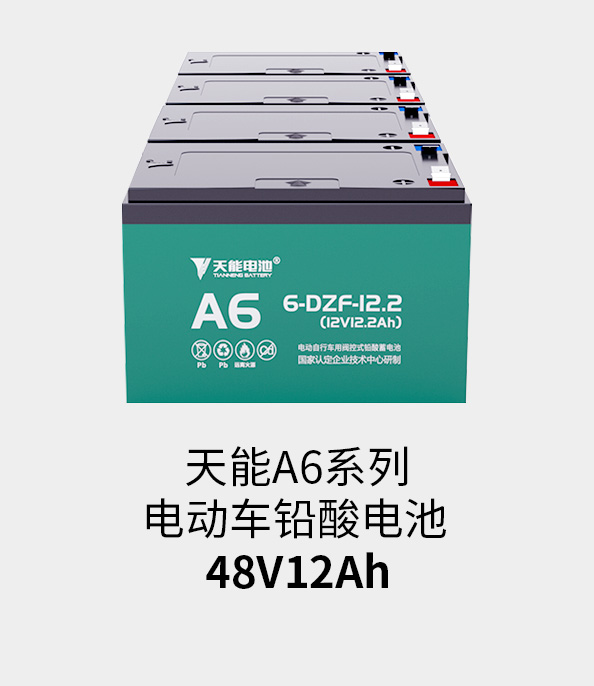 果博电池48v12ah
