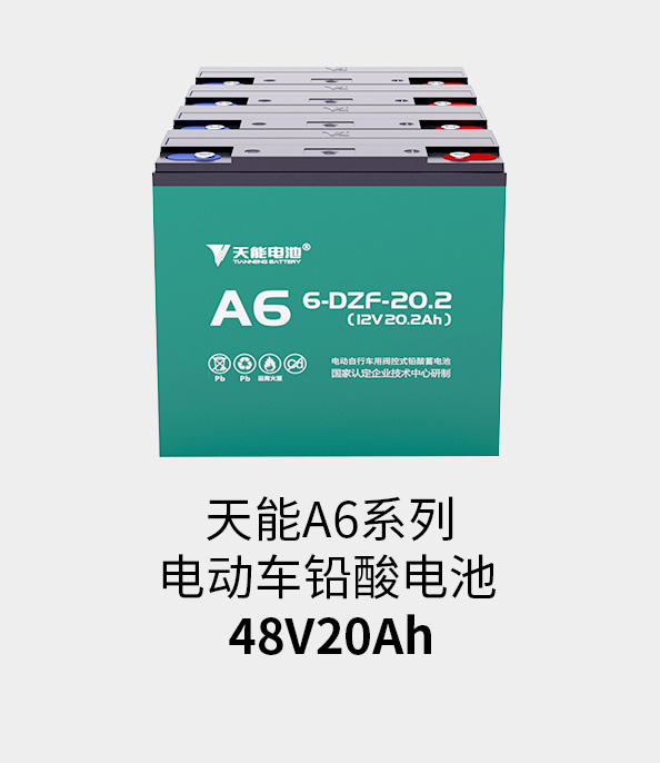 果博电池48v20ah