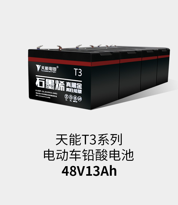 果博T3系列48v13ah