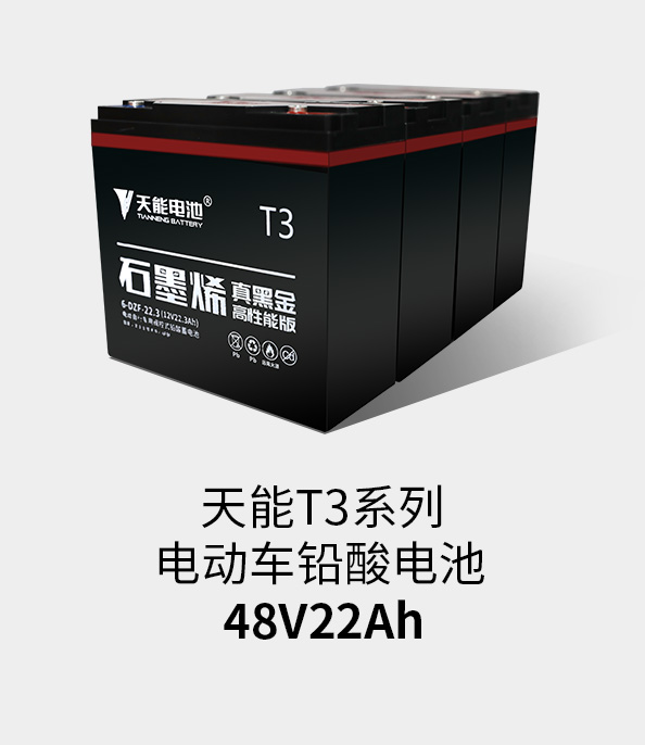 果博T3系列48v22ah