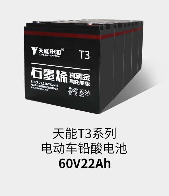 果博T3系列60v22ah