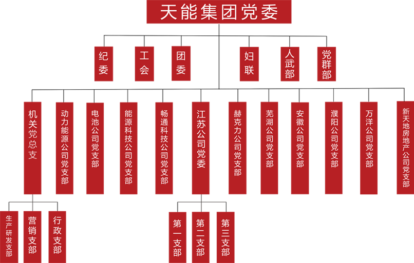 果博建团党委组织架构